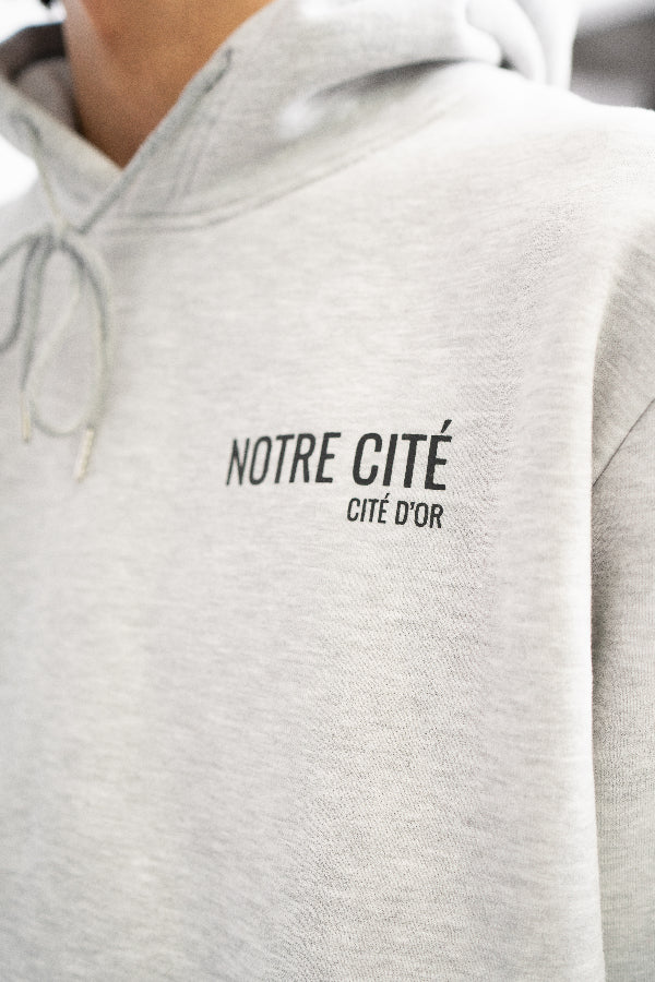 Area Classic Hoodie Light Grey